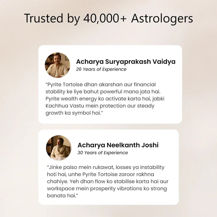 Vastu Pyrite Tortoise Combo – Small Kachhua with Big Kachhua