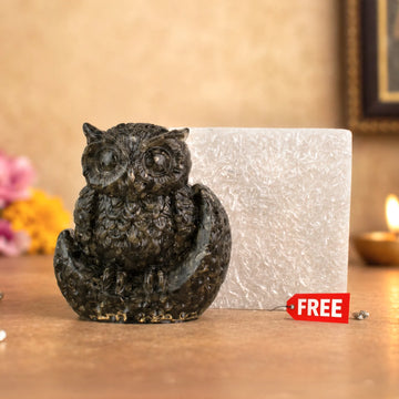 Pyrite Owl with Free Square Selenite Plate