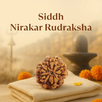 Kashi Siddh Nepal Origin Nirakar Rudraksha (0 Mukhi) - 17mm to 22mm
