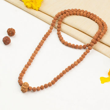 9 Mukhi  Rudraksha Bead in 5 Mukhi Rudraksha Mala