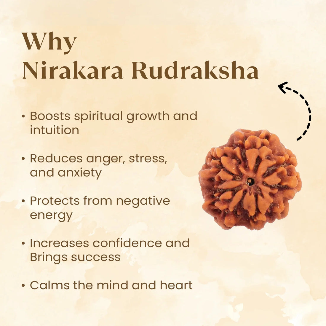 Nepal Origin Nirakar Rudraksha (0 Mukhi) -  17mm - 22mm