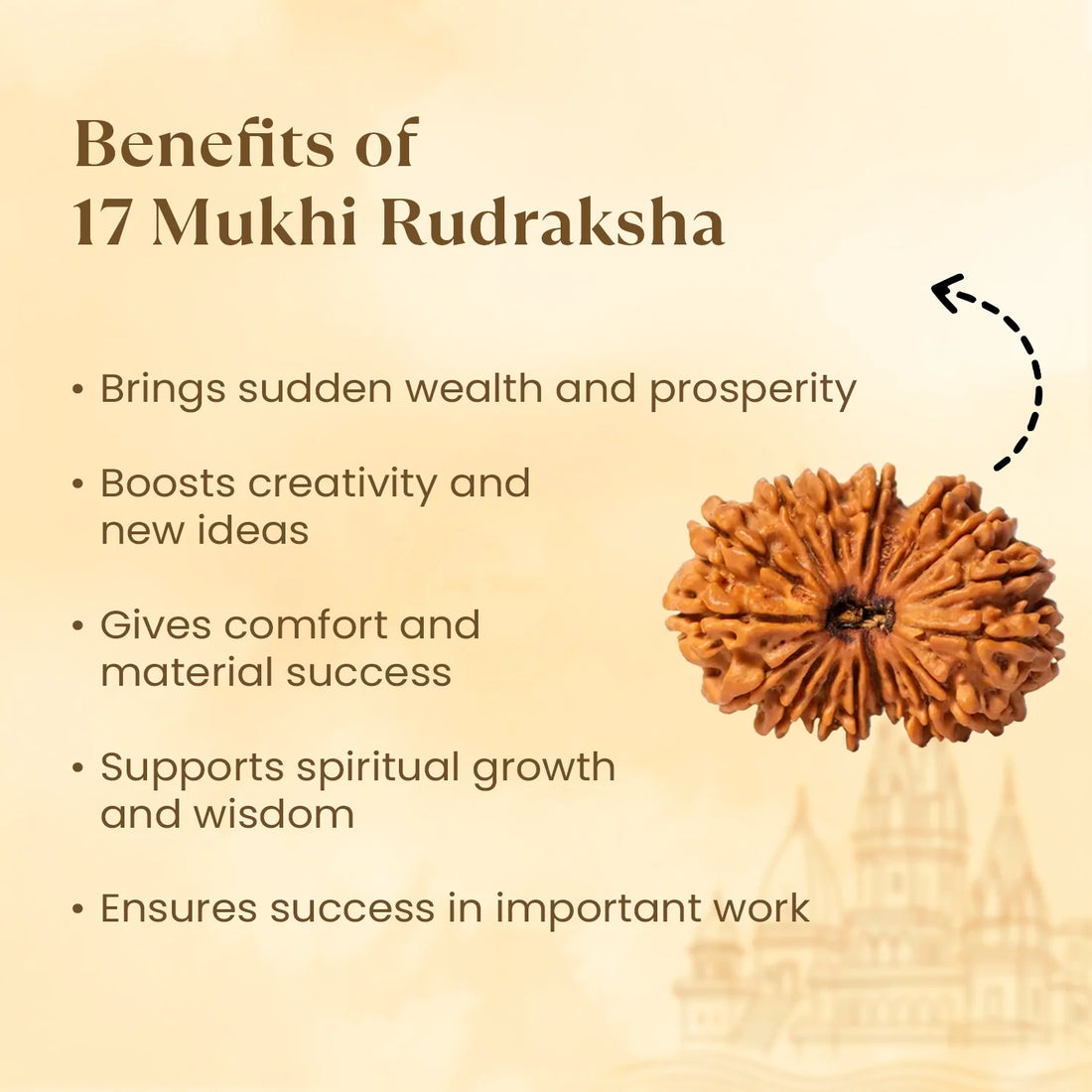 Nepal Origin 17 Mukhi Rudraksha - 17mm to 22mm
