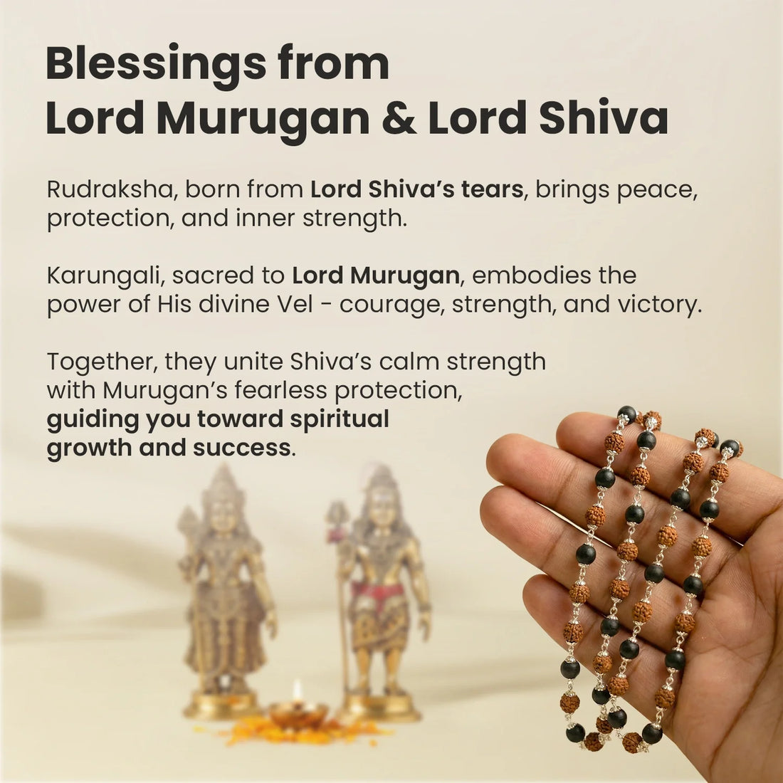 Divya Raksha Mahadev Combo