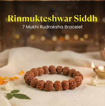 Rinmukteshwar Siddh 7 Mukhi Rudraksha Bracelet