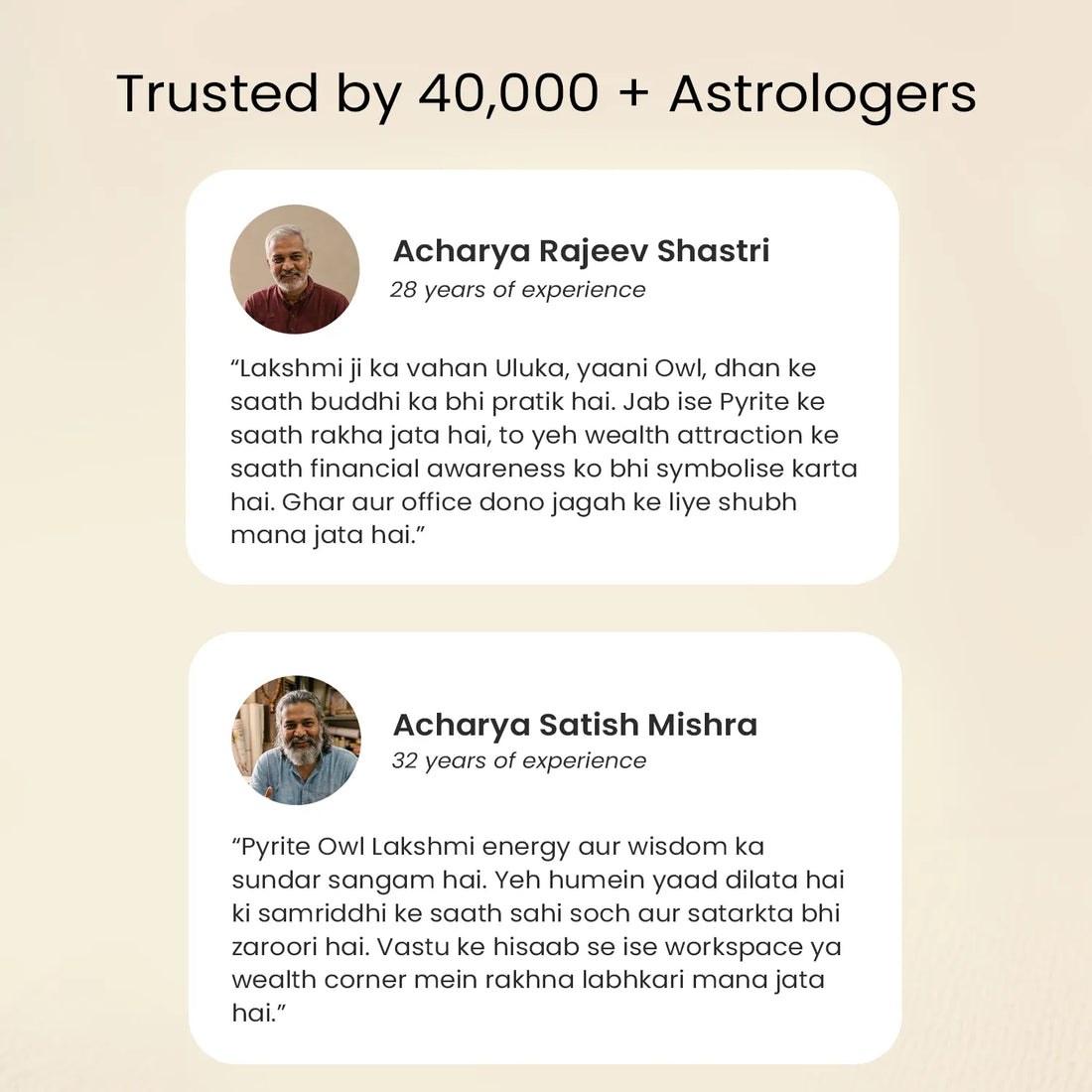 Vastu Pyrite Wealth & Wisdom Combo