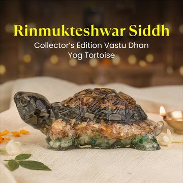 Rinmukteshwar Siddh Vastu Dhan Yog Tortoise (Big size)