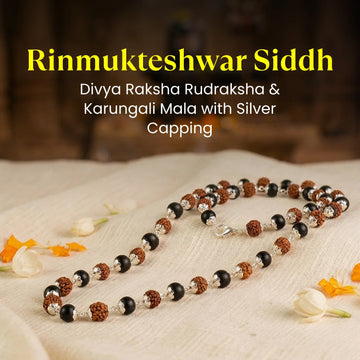 Rinmukteshwar Siddh Divya Rudraksha Karungali Mala - Silver Capped
