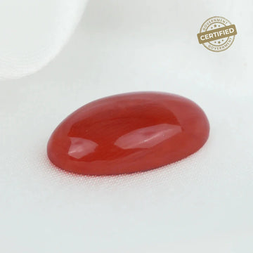 Italian Red Coral