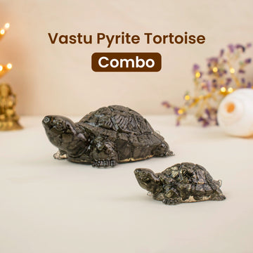 Vastu Pyrite Tortoise Combo – Small Kachhua with Big Kachhua